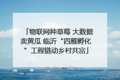 物联网种草莓 大数据卖黄瓜 临沂“四雁孵化”工程链动乡村共富
