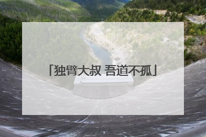 独臂大叔 吾道不孤