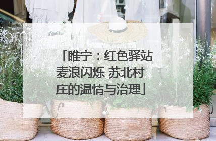 睢宁：红色驿站麦浪闪烁 苏北村庄的温情与治理