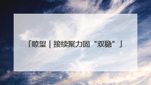 瞭望｜接续聚力固“双稳”