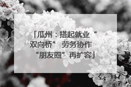 瓜州：搭起就业“双向桥” 劳务协作“朋友圈”再扩容
