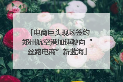 电商巨头现场签约 郑州航空港加速驶向“丝路电商”新蓝海