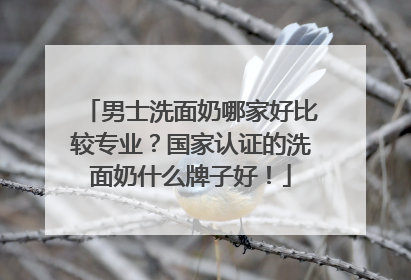 男士洗面奶哪家好比较专业？国家认证的洗面奶什么牌子好！