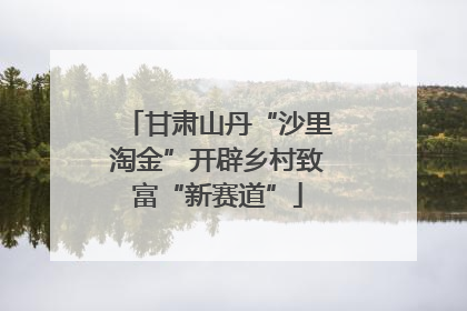 甘肃山丹“沙里淘金”开辟乡村致富“新赛道”