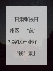 甘肃张掖甘州区：“蔬”写富民产业好“钱”景