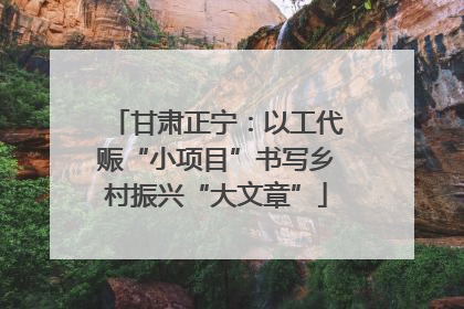 甘肃正宁：以工代赈“小项目”书写乡村振兴“大文章”
