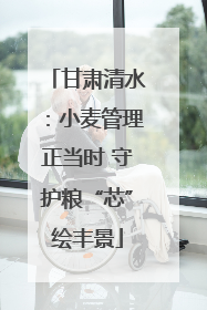 甘肃清水：小麦管理正当时 守护粮“芯”绘丰景