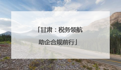 甘肃：税务领航 助企合规前行