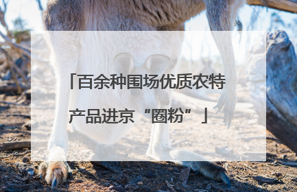 百余种围场优质农特产品进京“圈粉”