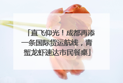 直飞仰光！成都再添一条国际货运航线，青蟹龙虾速达市民餐桌