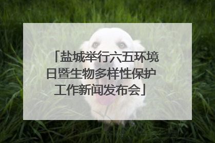 盐城举行六五环境日暨生物多样性保护工作新闻发布会