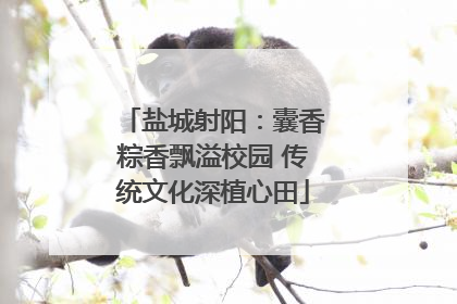 盐城射阳：囊香粽香飘溢校园 传统文化深植心田