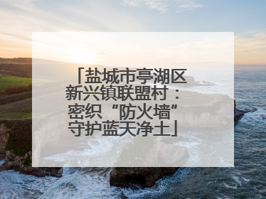 盐城市亭湖区新兴镇联盟村：密织“防火墙”守护蓝天净土