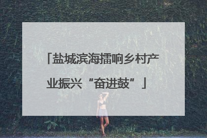 盐城滨海擂响乡村产业振兴“奋进鼓”