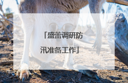 盛蕾调研防汛准备工作