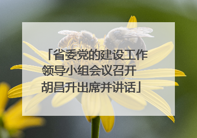 省委党的建设工作领导小组会议召开 胡昌升出席并讲话