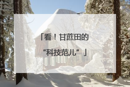 看！甘蔗田的“科技范儿”