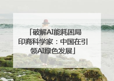 破解AI能耗困局 印裔科学家：中国在引领AI绿色发展