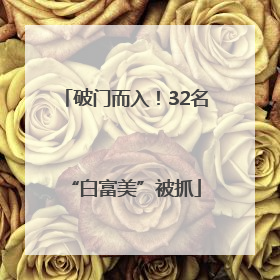 破门而入！32名“白富美”被抓