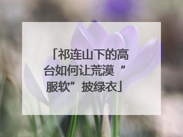 祁连山下的高台如何让荒漠“服软”披绿衣