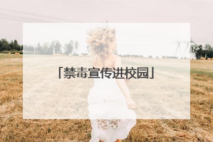 禁毒宣传进校园