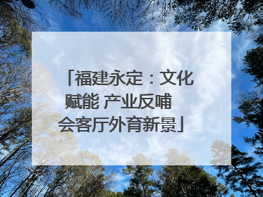 福建永定：文化赋能 产业反哺 会客厅外育新景