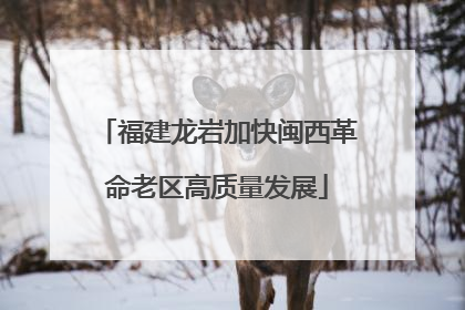 福建龙岩加快闽西革命老区高质量发展