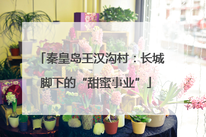 秦皇岛王汉沟村：长城脚下的“甜蜜事业”
