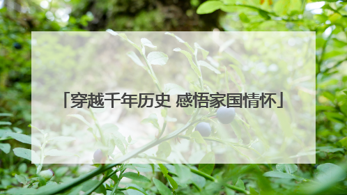 穿越千年历史 感悟家国情怀