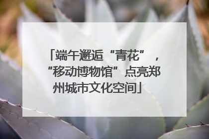 端午邂逅“青花”，“移动博物馆”点亮郑州城市文化空间