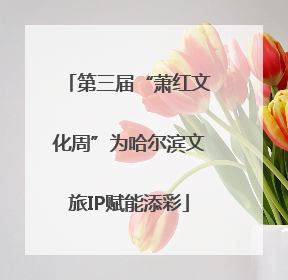 第三届“萧红文化周”为哈尔滨文旅IP赋能添彩