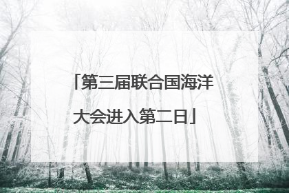 第三届联合国海洋大会进入第二日