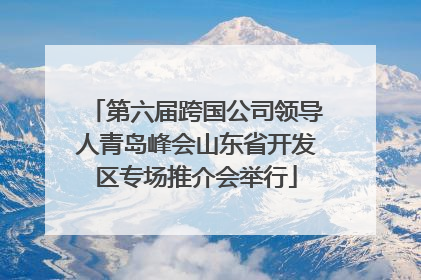 第六届跨国公司领导人青岛峰会山东省开发区专场推介会举行