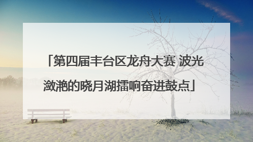 第四届丰台区龙舟大赛 波光潋滟的晓月湖擂响奋进鼓点