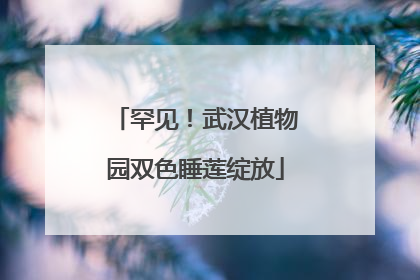 罕见！武汉植物园双色睡莲绽放