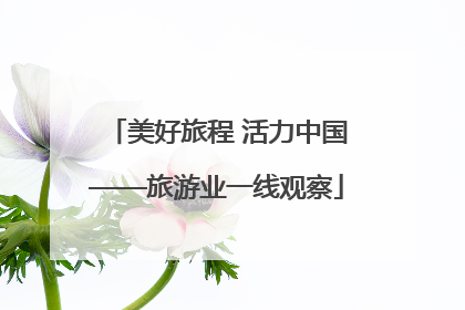 美好旅程 活力中国——旅游业一线观察