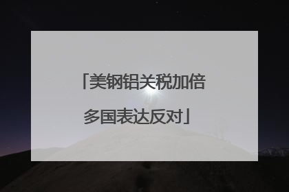 美钢铝关税加倍 多国表达反对