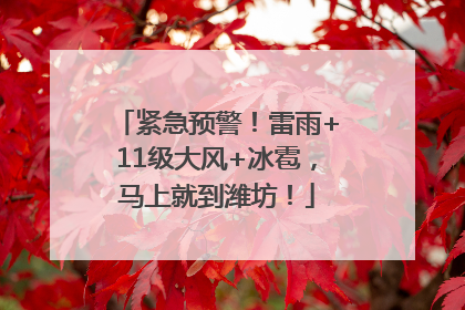 紧急预警！雷雨+11级大风+冰雹，马上就到潍坊！