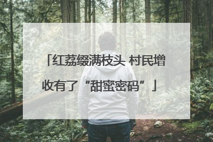 红荔缀满枝头 村民增收有了“甜蜜密码”