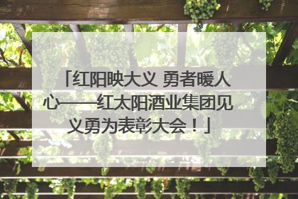 红阳映大义 勇者暖人心——红太阳酒业集团见义勇为表彰大会！