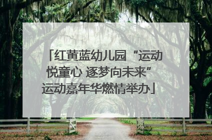 红黄蓝幼儿园“运动悦童心 逐梦向未来”运动嘉年华燃情举办