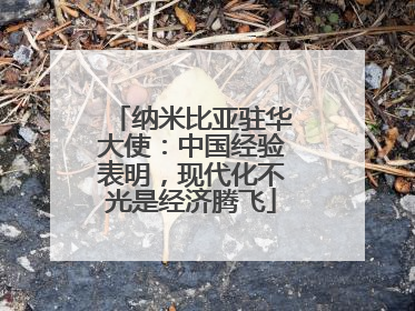 纳米比亚驻华大使：中国经验表明，现代化不光是经济腾飞