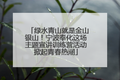 绿水青山就是金山银山！宁波奉化这场主题宣讲训练营活动掀起青春热潮
