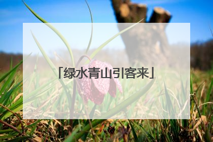 绿水青山引客来