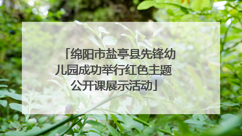 绵阳市盐亭县先锋幼儿园成功举行红色主题公开课展示活动
