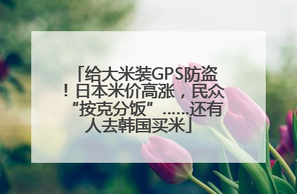 给大米装GPS防盗！日本米价高涨，民众“按克分饭”……还有人去韩国买米