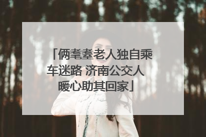 俩耄耋老人独自乘车迷路 济南公交人暖心助其回家