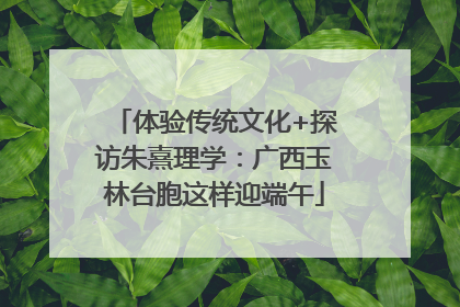 体验传统文化+探访朱熹理学：广西玉林台胞这样迎端午