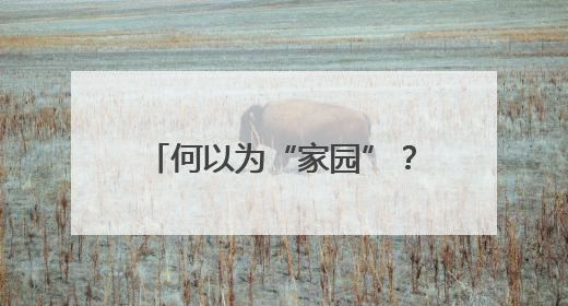 何以为“家园”？在共建共享的星火中，照亮精神原乡！