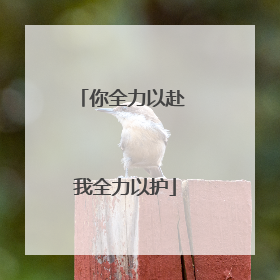 你全力以赴 我全力以护